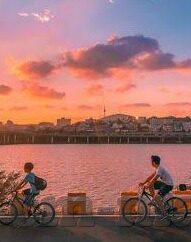 91麻豆精东天美果冻-91麻豆精东天美果冻，时尚潮流下的味觉盛宴