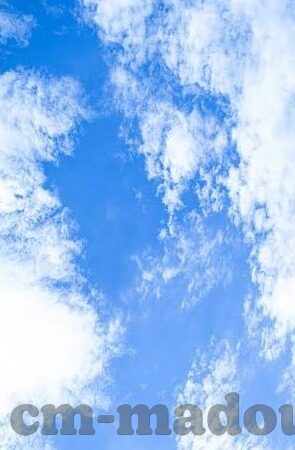 成人爽成人爽上片免费视频下载-成人爽，成人娱乐内容与网络伦理的边界