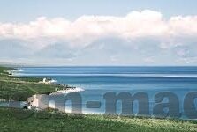 大象传媒8080-探索大象传媒8080，数字时代的文化桥梁与创意平台