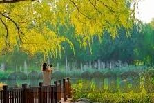 国精品午夜福利视频不卡麻豆-