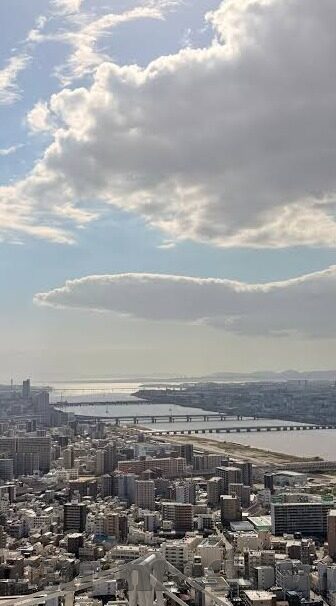 麻豆视频免费版-