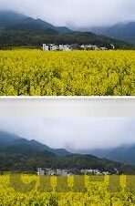 麻豆仙踪林果冻视频-麻豆仙踪林——探索数字娱乐的别样风情