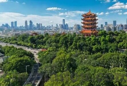 免费的伦理电影1000-免费伦理电影，道德的镜像与心灵的洗礼