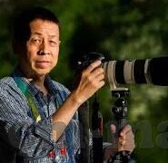 屈辱人妻-屈辱人妻，情感深渊中的挣扎与救赎