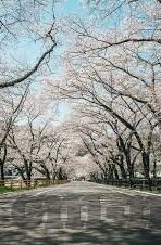 日韩av在线一区-日韩AV在线一区，网络文化与成人娱乐的多元视角