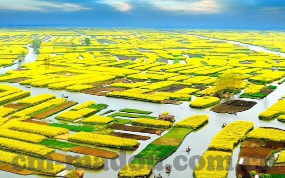 糖心app网站入口-品味独特体验，探索糖心app网站世界的深度之旅